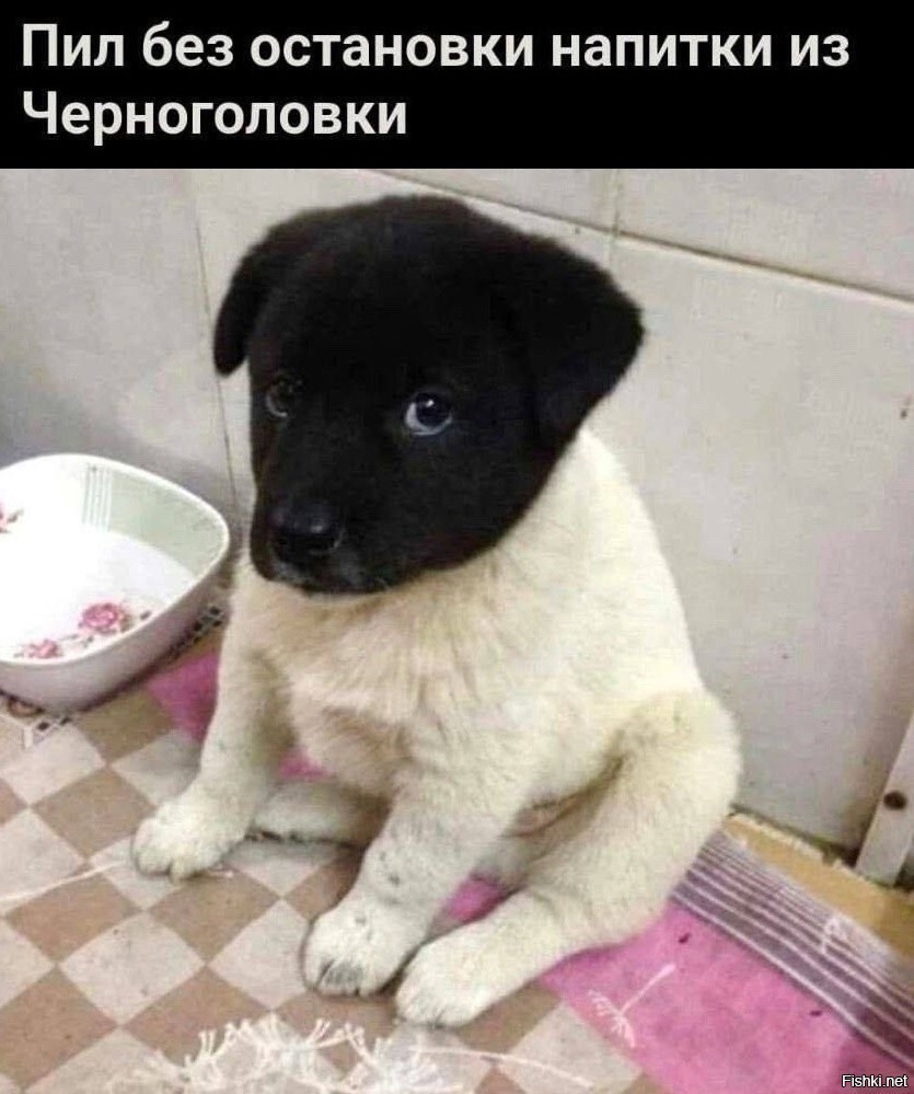 Солянка от 16.02.2026