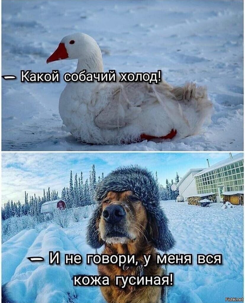 Солянка от 16.02.2026