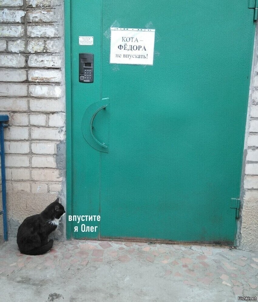 Солянка от 16.02.2026