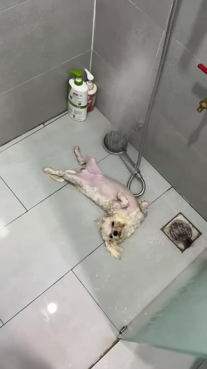 Утренний душ 