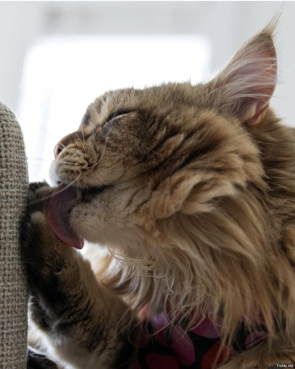 Солянка от 16.02.2026