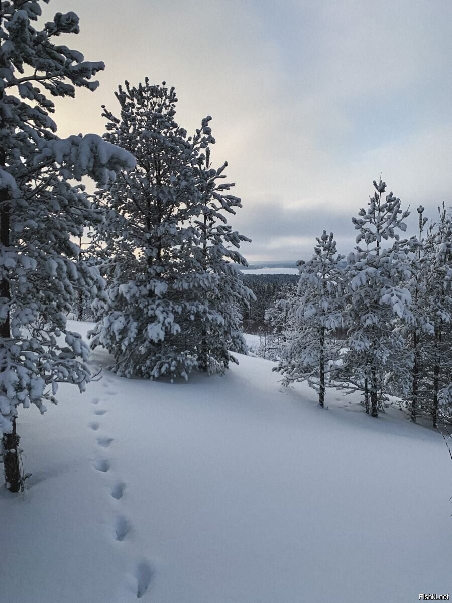 Солянка от 16.02.2026