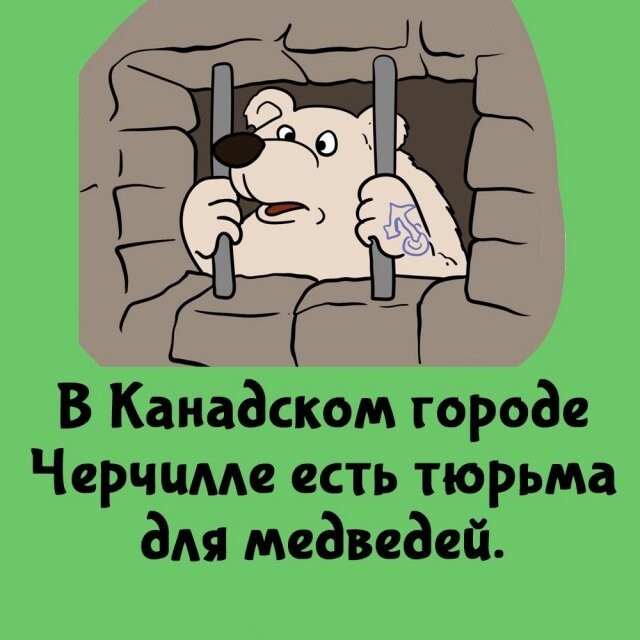 А вдруг ты не знал…