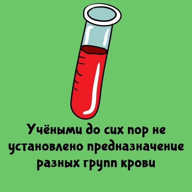 А вдруг ты не знал…