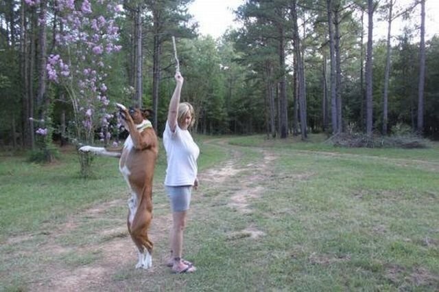 Намешалось