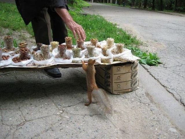 Намешалось