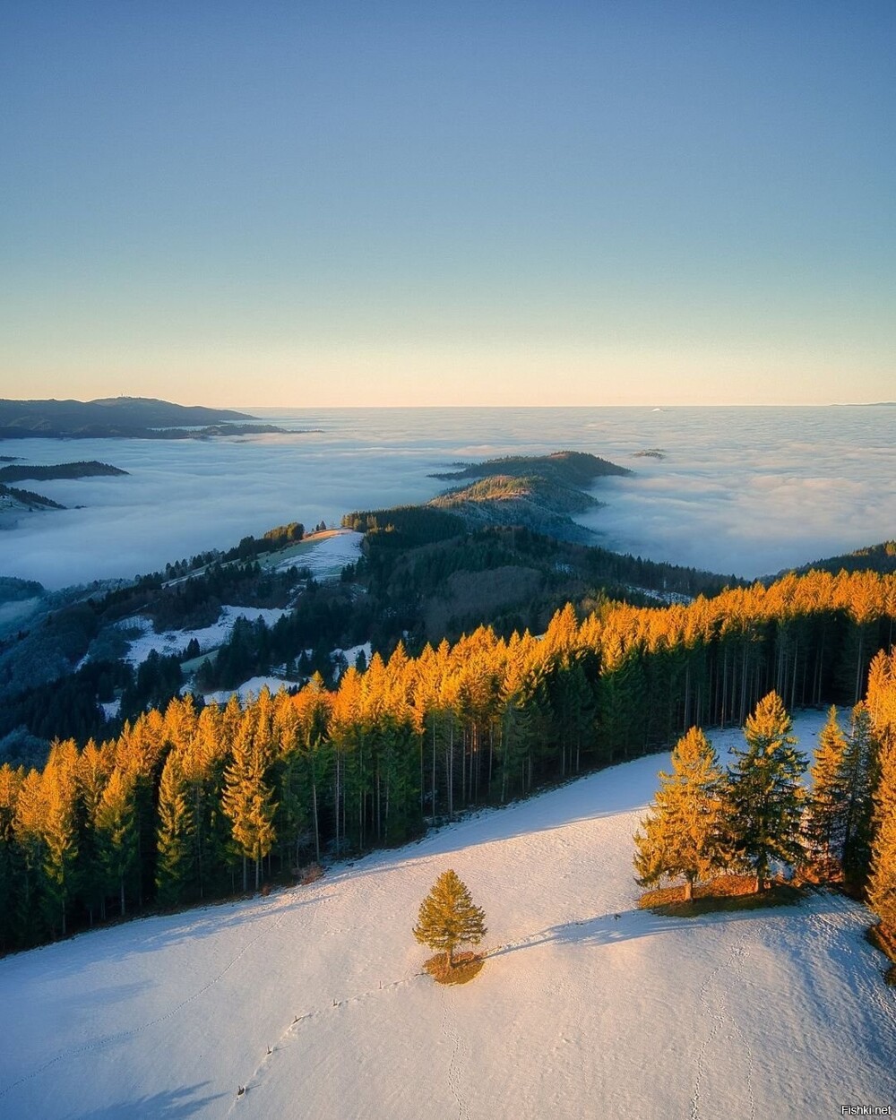 Рыжий поцелуй солнца