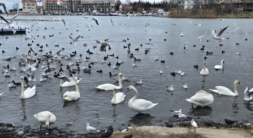 Севастополь
