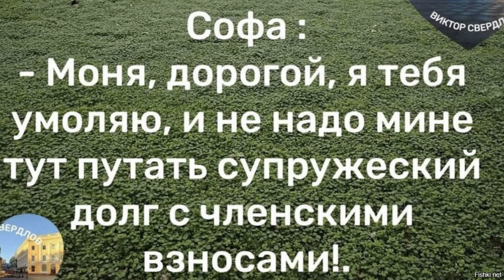 Солянка от 16.02.2026