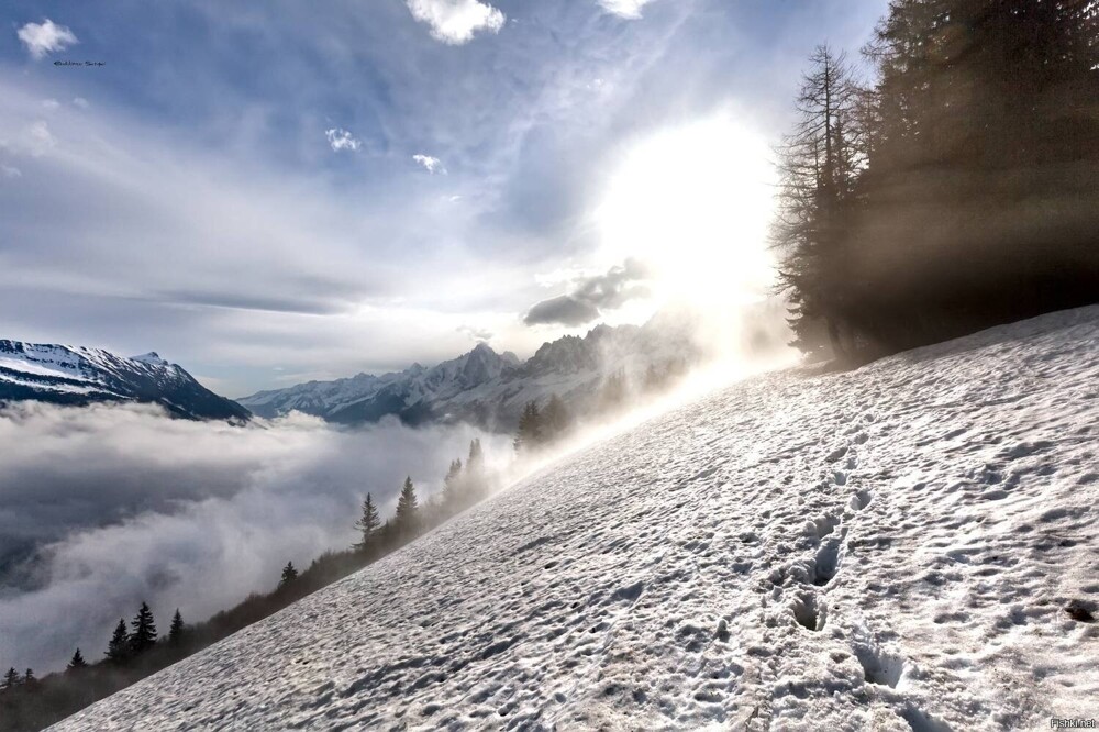 Солянка от 17.02.2026