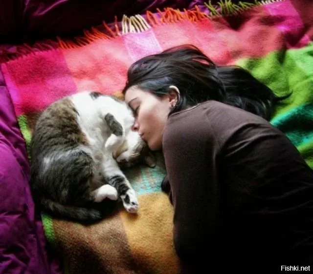 Солянка от 17.02.2026