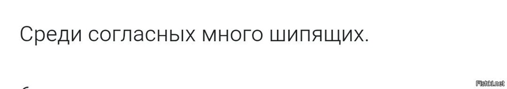 Солянка от 17.02.2026