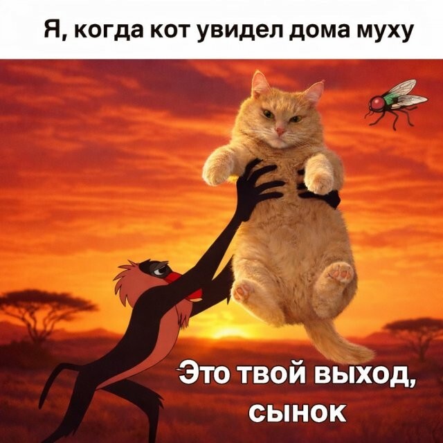 Скрины из соцсетей
