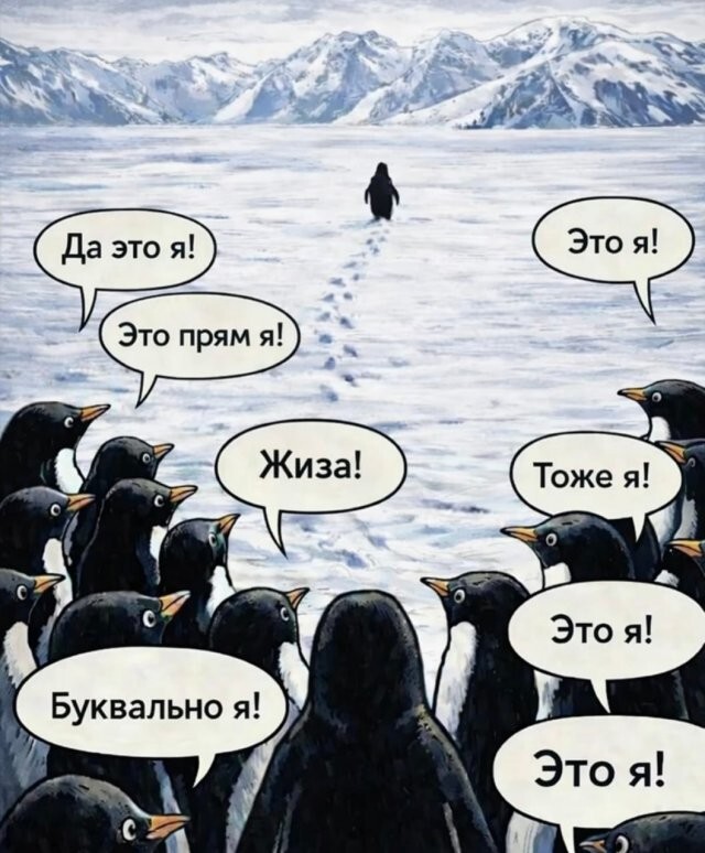 Скрины из соцсетей