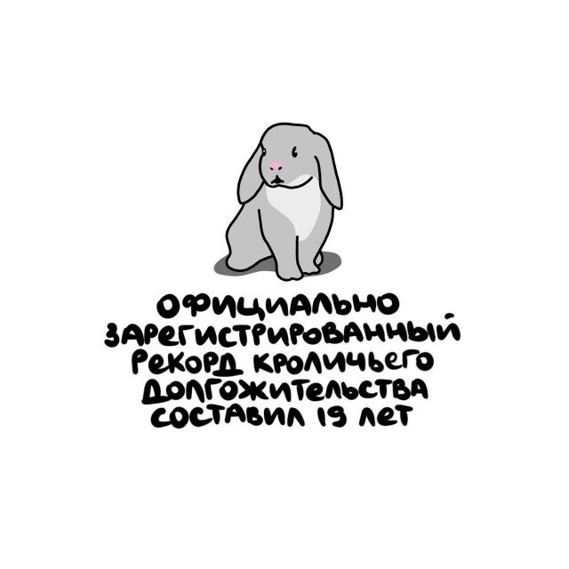 А вдруг ты не знал…