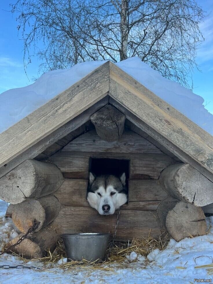 Солянка от 17.02.2026
