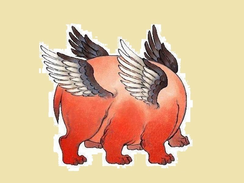 Легенда о славном Хуньдуне