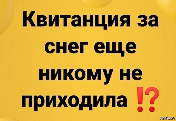 Солянка от 17.02.2026