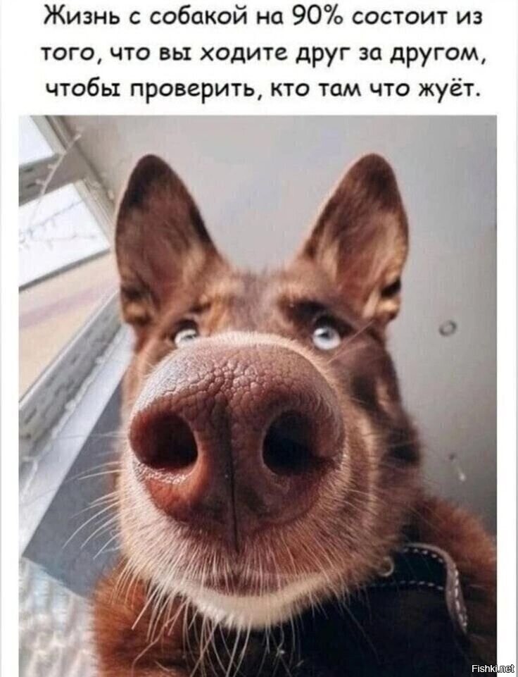 Солянка от 17.02.2026