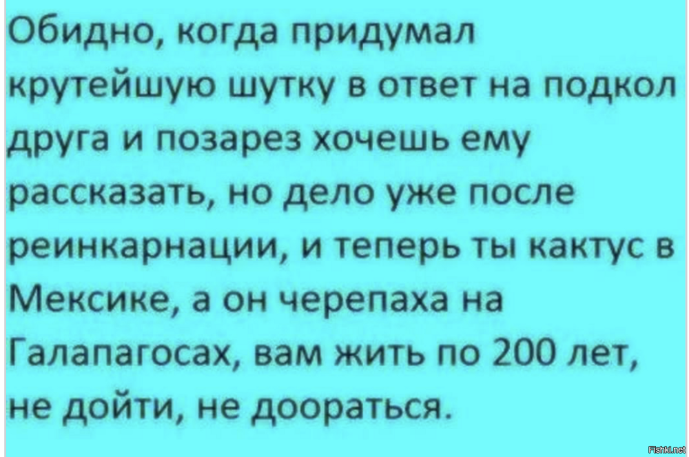 Солянка от 17.02.2026
