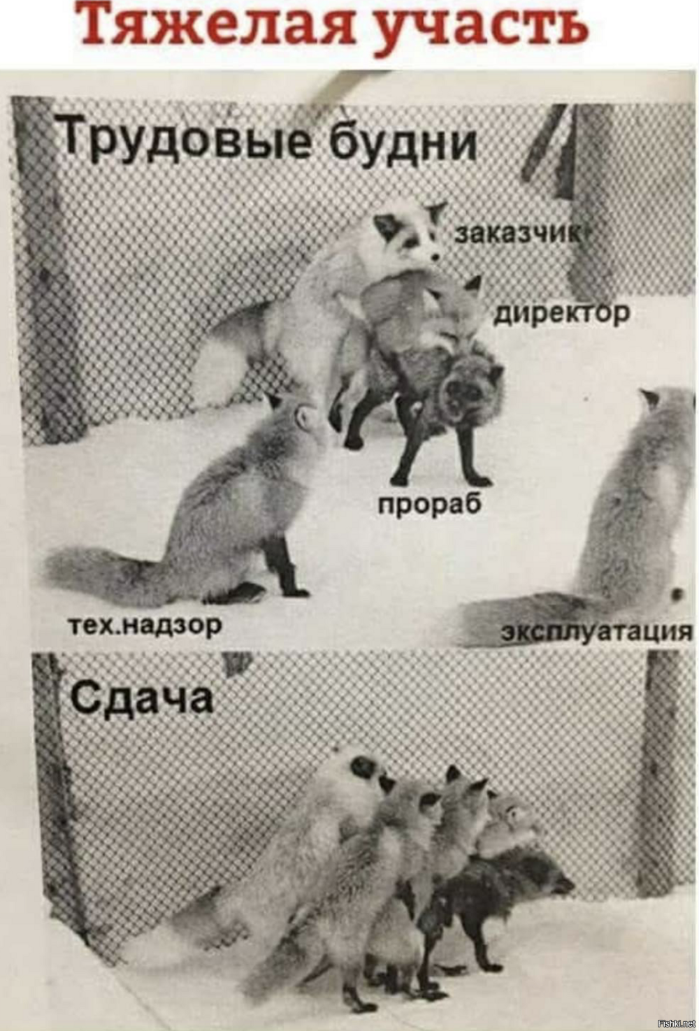 Солянка от 17.02.2026
