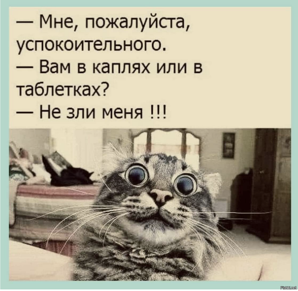 Солянка от 17.02.2026