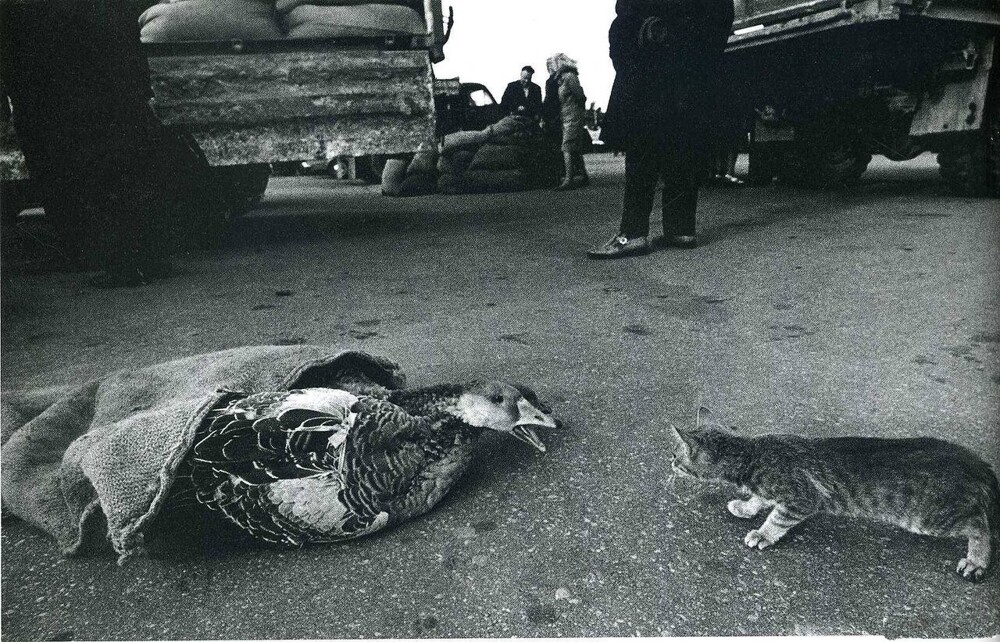 Интересные фотографии времен СССР