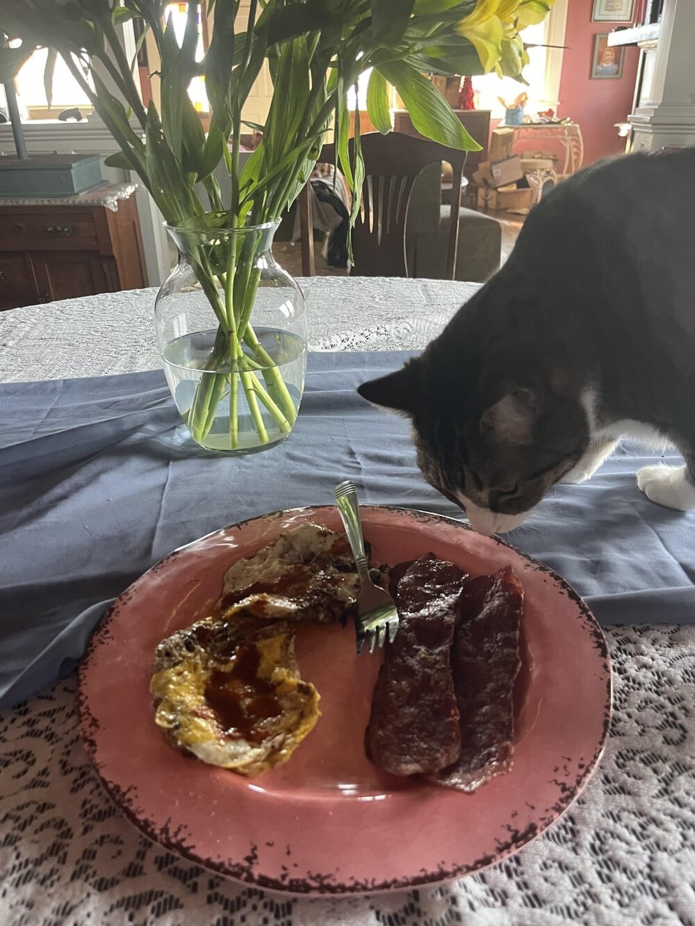 18. Котик пока сомневается