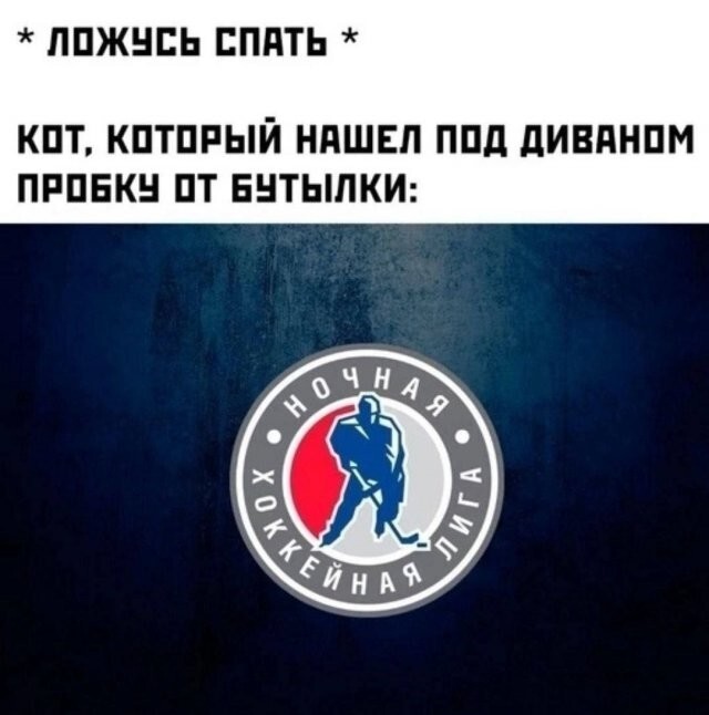 Скрины из соцсетей