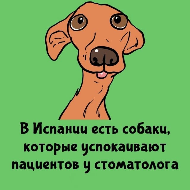 А вдруг ты не знал…