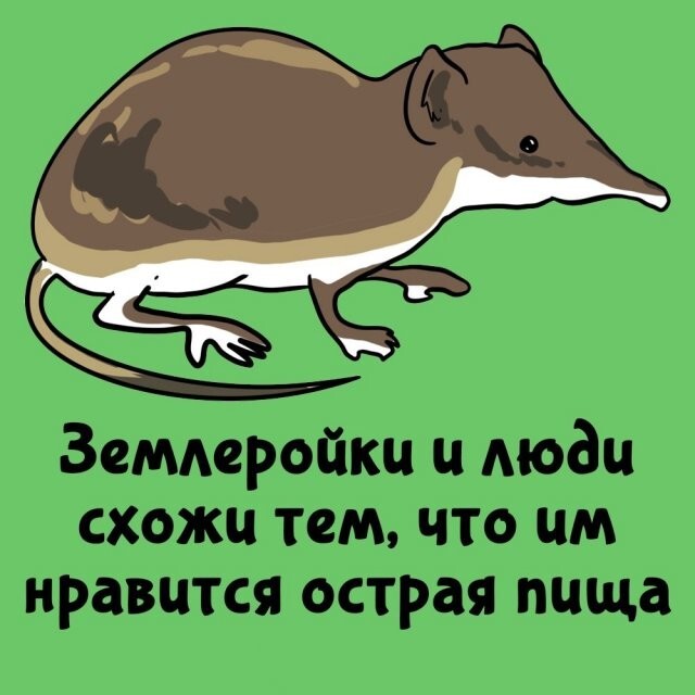 А вдруг ты не знал…