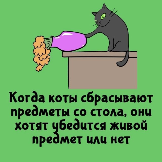 А вдруг ты не знал…
