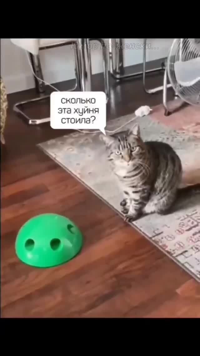 Солянка от 18.02.2026 
