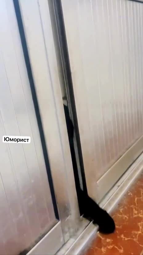 Солянка от 18.02.2026 