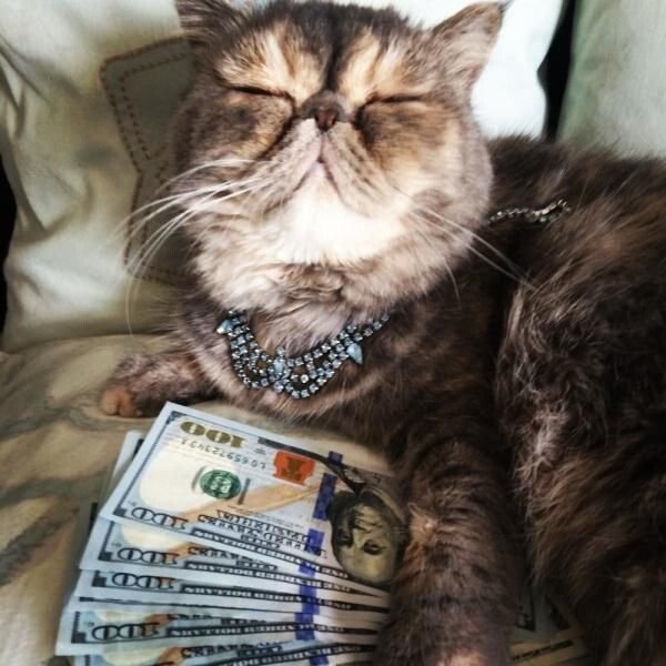 Намешалось