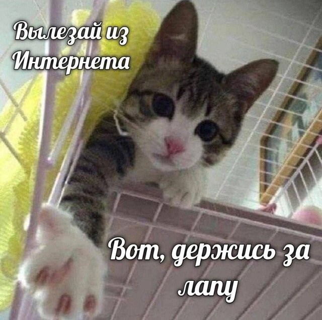 Намешалось