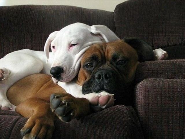 Намешалось