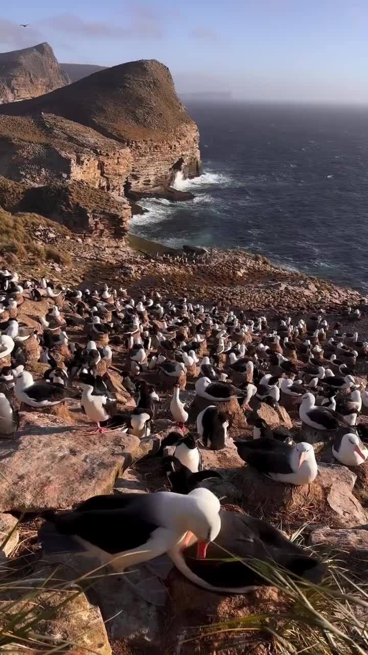 Солянка от 19.02.2026 