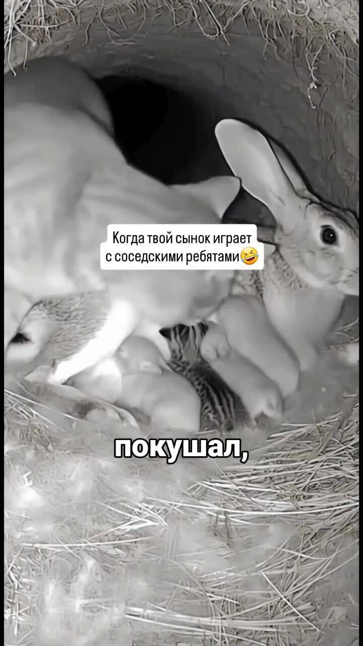 Солянка от 19.02.2026 
