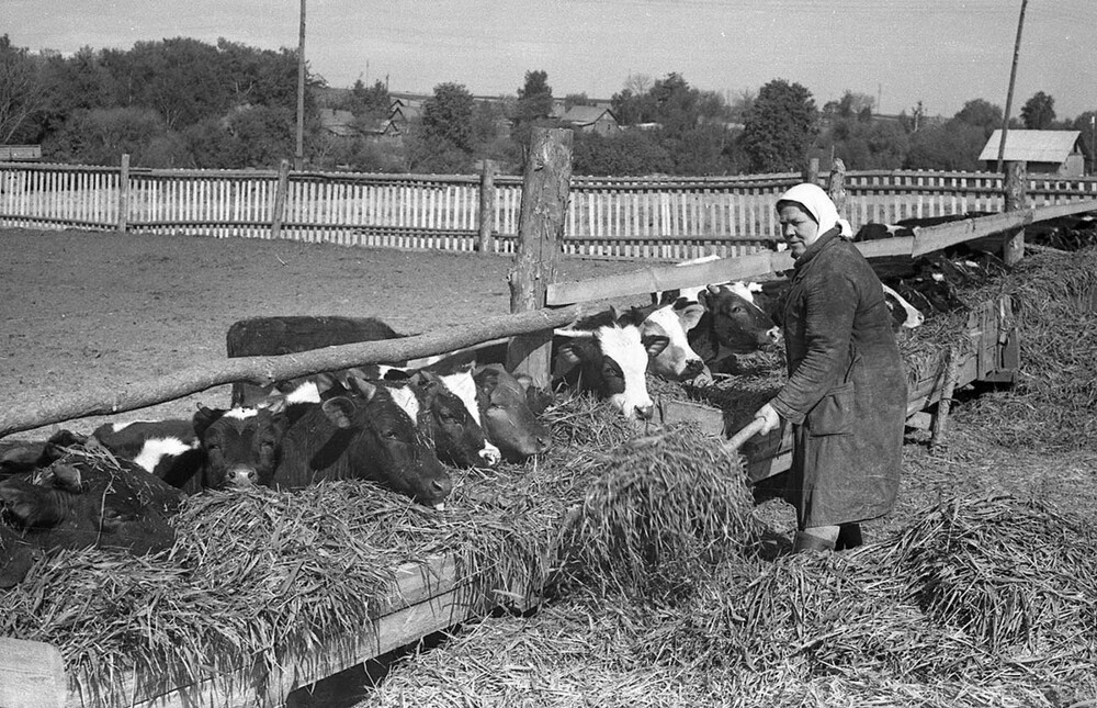 Интересные фотографии времен СССР