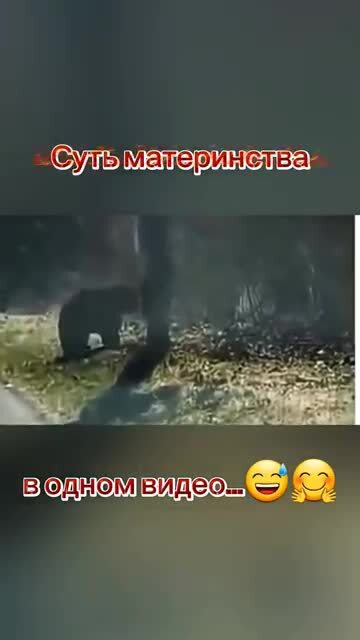 Солянка от 19.02.2026 