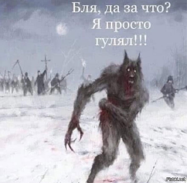 Солянка от 19.02.2026