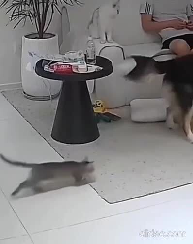 Трехочковый 