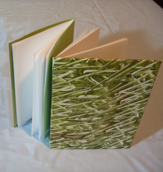 Средневековые переплёты dos-à-dos: книги, которые смотрели друг на друга