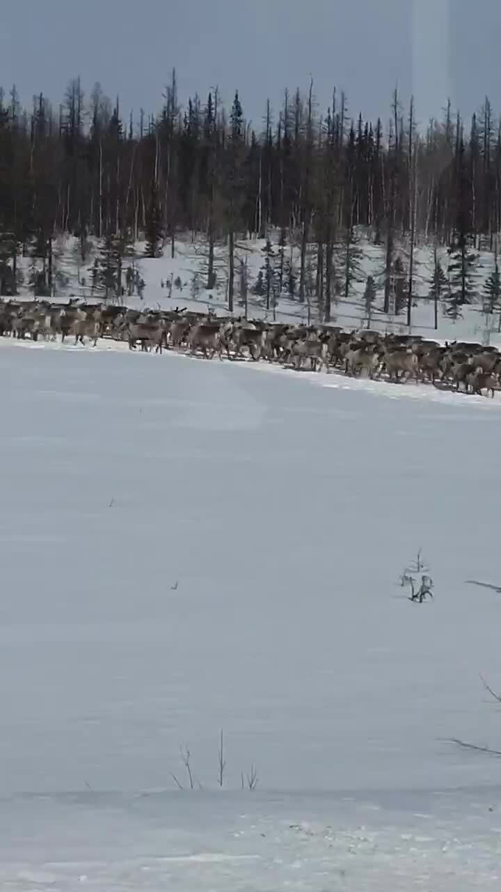 Солянка от 20.02.2026 