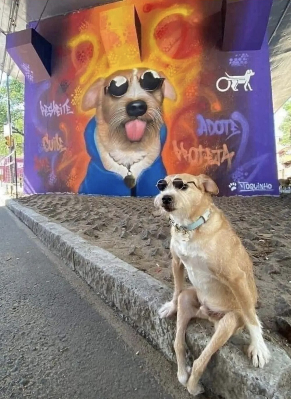 На общую тему&nbsp;