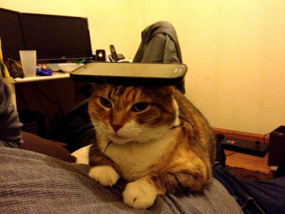 На общую тему&nbsp;