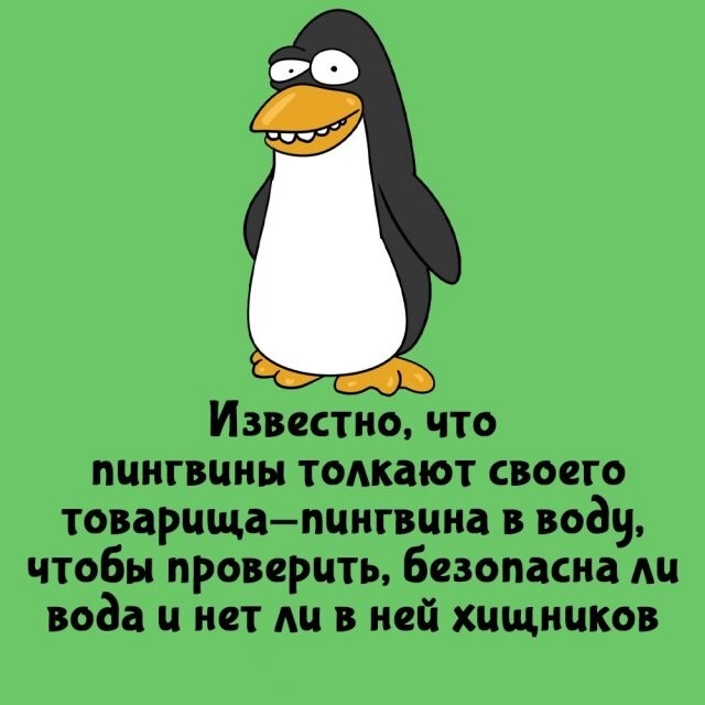 А вдруг ты не знал…