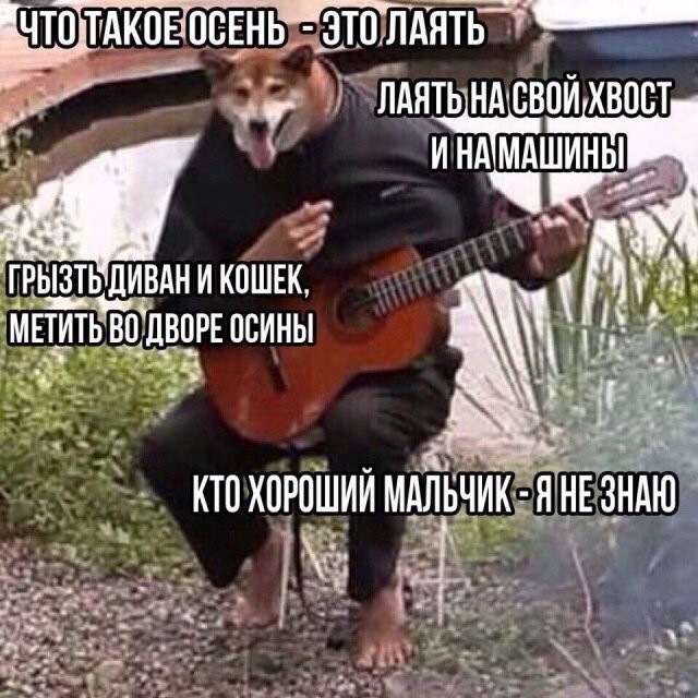 Намешалось&nbsp;