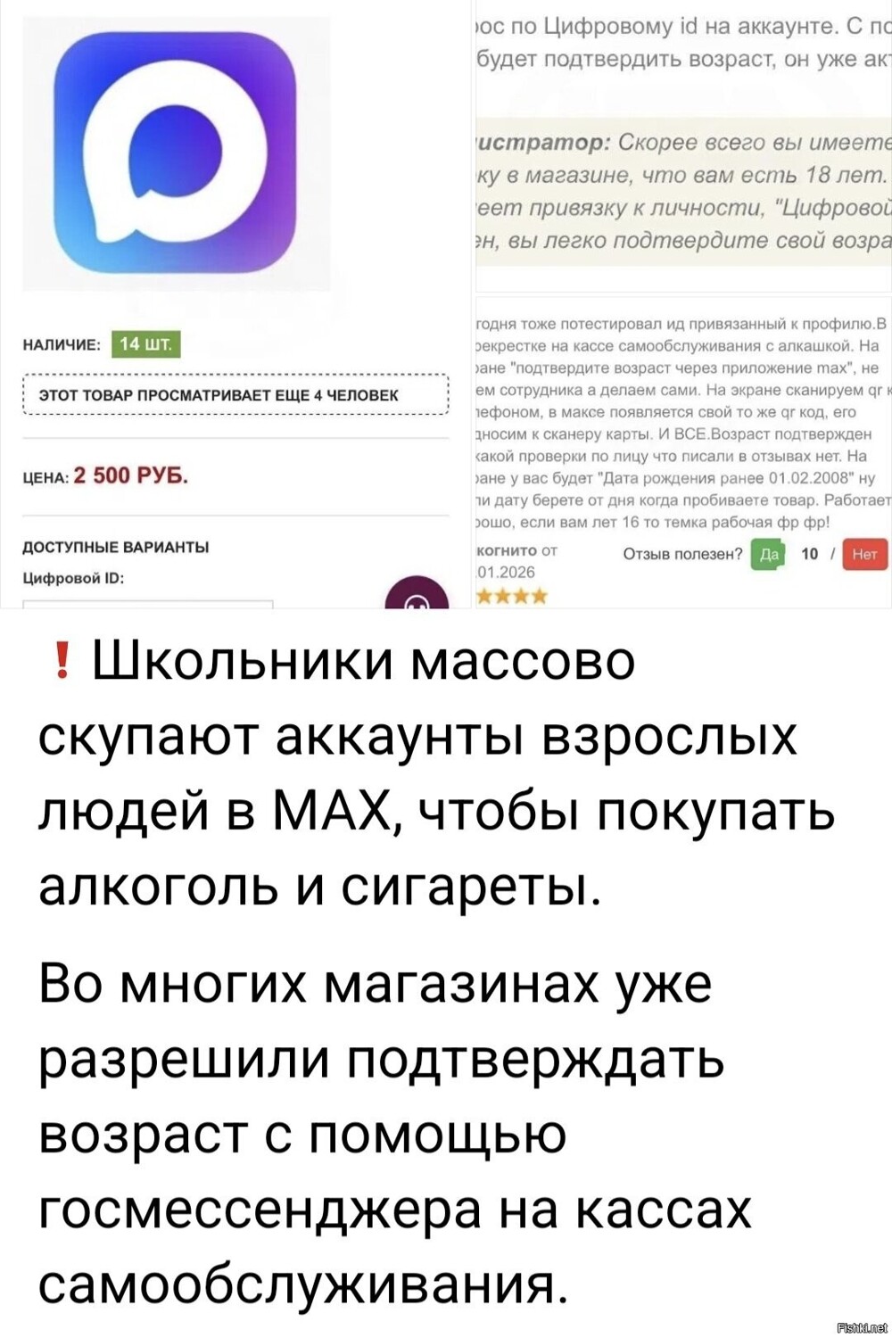 Солянка от 20.02.2026